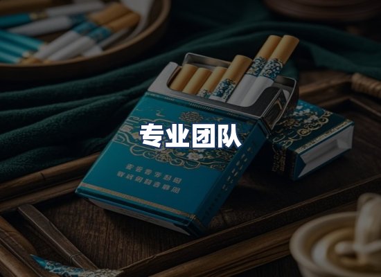 专业团队